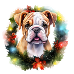 Englische Bulldogge Bügelbild Weihnachten #13