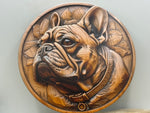 Französische Bulldogge Türschild / Dekoschild / Blechschild