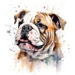 Englische Bulldogge Bügelbild Watercolor #3