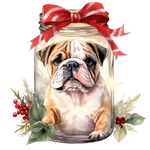 Englische Bulldogge Bügelbild Weihnachten #11