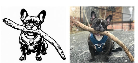 nach Fotovorlage 20cm Vektorgrafik (ein Tier)