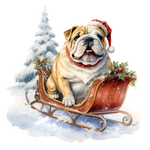 Englische Bulldogge Bügelbild Weihnachten #54