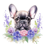 Französische Bulldogge Bügelbild Floral #7