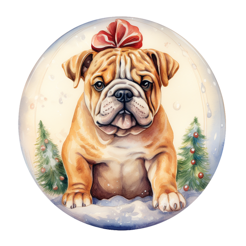 Englische Bulldogge Bügelbild Weihnachten #20