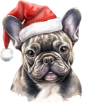 Französische Bulldogge Bügelbild Weihnachten #46