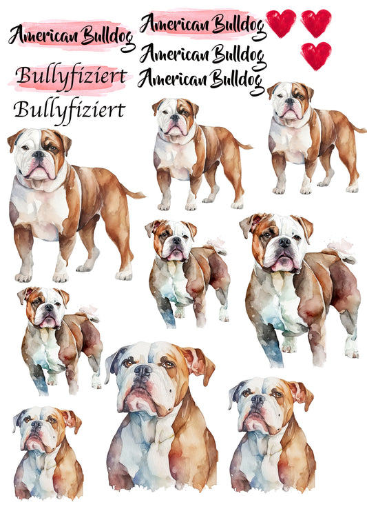 American Bulldog Wasserschiebefolie / Kerzentattoos #2