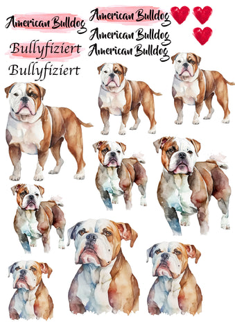 American Bulldog Wasserschiebefolie / Kerzentattoos