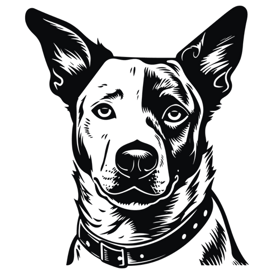 Australian Cattle Dog Autoaufkleber #1