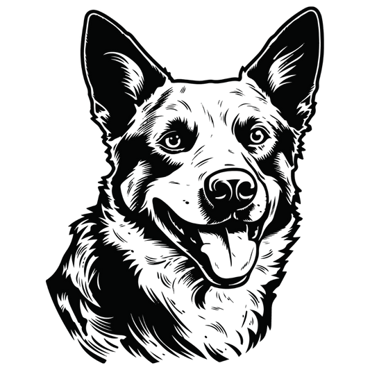Australian Cattle Dog Autoaufkleber #2