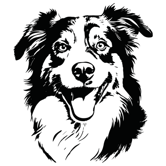 Australian Shepherd Autoaufkleber #2