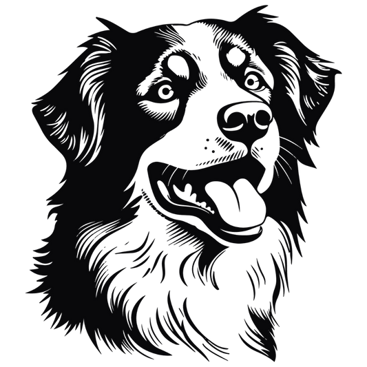 Australian Shepherd Autoaufkleber #3