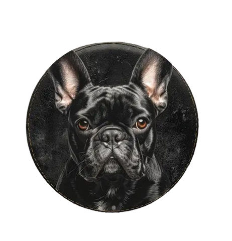 Französische Bulldogge Türschild / Dekoschild / Blechschild