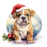 Englische Bulldogge Bügelbild Weihnachten #21