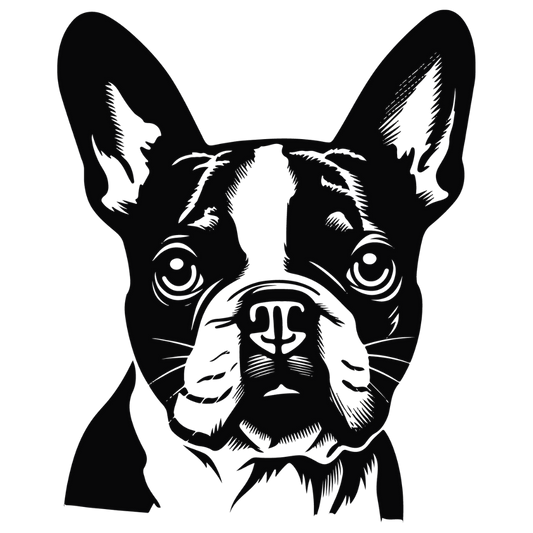 Boston Terrier Autoaufkleber #32