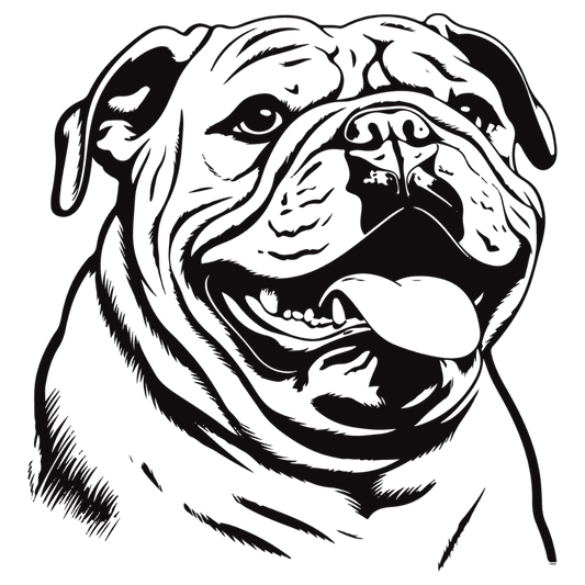 Englische Bulldogge Autoaufkleber #90