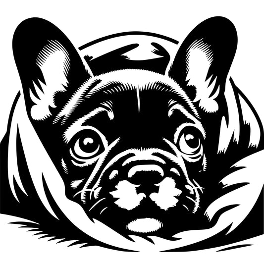 Französische Bulldogge Autoaufkleber #284
