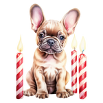 Französische Bulldogge Bügelbild Weihnachten #94