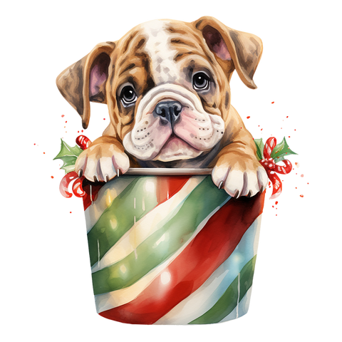Englische Bulldogge Bügelbild Weihnachten #2