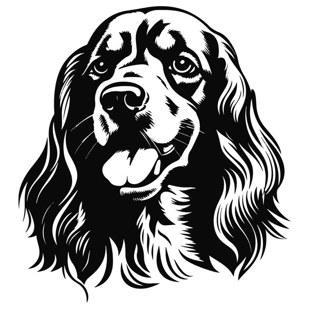 Cocker Spaniel Autoaufkleber #5