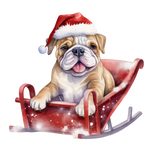 Englische Bulldogge Bügelbild Weihnachten #22