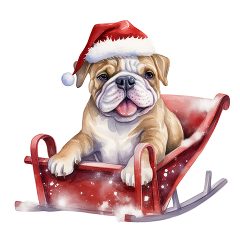 Englische Bulldogge Bügelbild Weihnachten #22