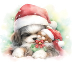 Shih Tzu Bügelbild Weihnachten #6