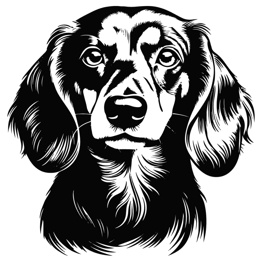 Dackel Autoaufkleber #2