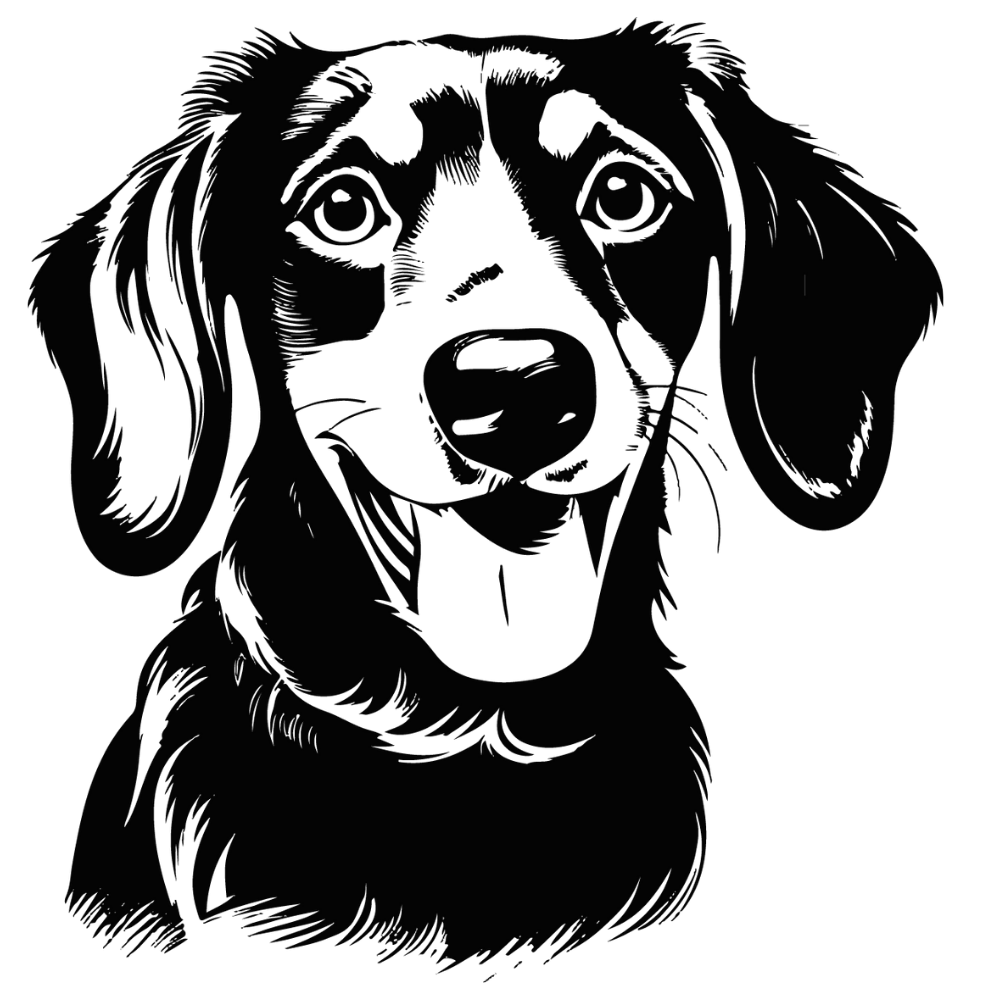 Dackel Autoaufkleber #3