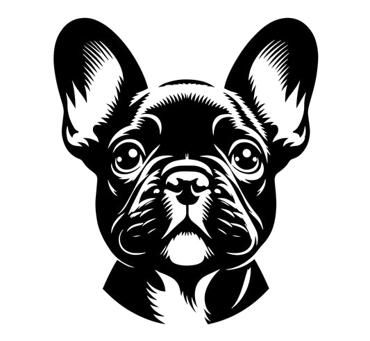 Französische Bulldogge Autoaufkleber #299