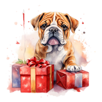 Englische Bulldogge Bügelbild Weihnachten #5