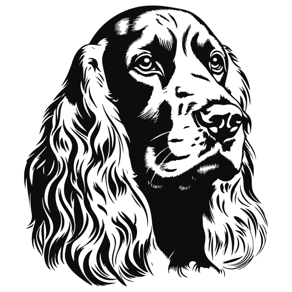 Cocker Spaniel Autoaufkleber #8