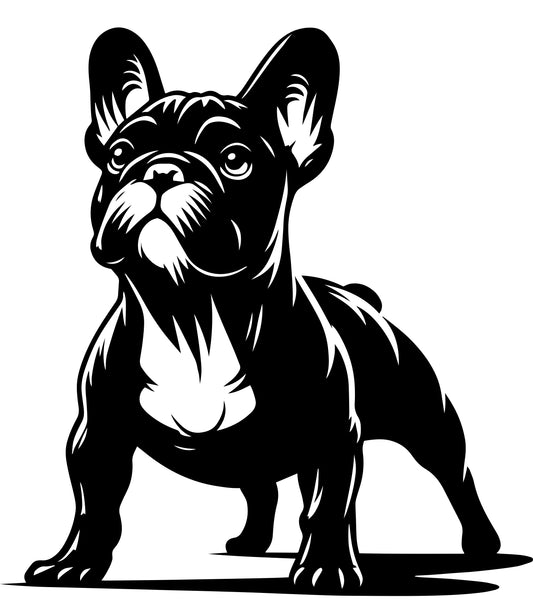 Französische Bulldogge Autoaufkleber #329