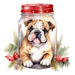 Englische Bulldogge Bügelbild Weihnachten #12