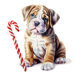 Englische Bulldogge Bügelbild Weihnachten #8