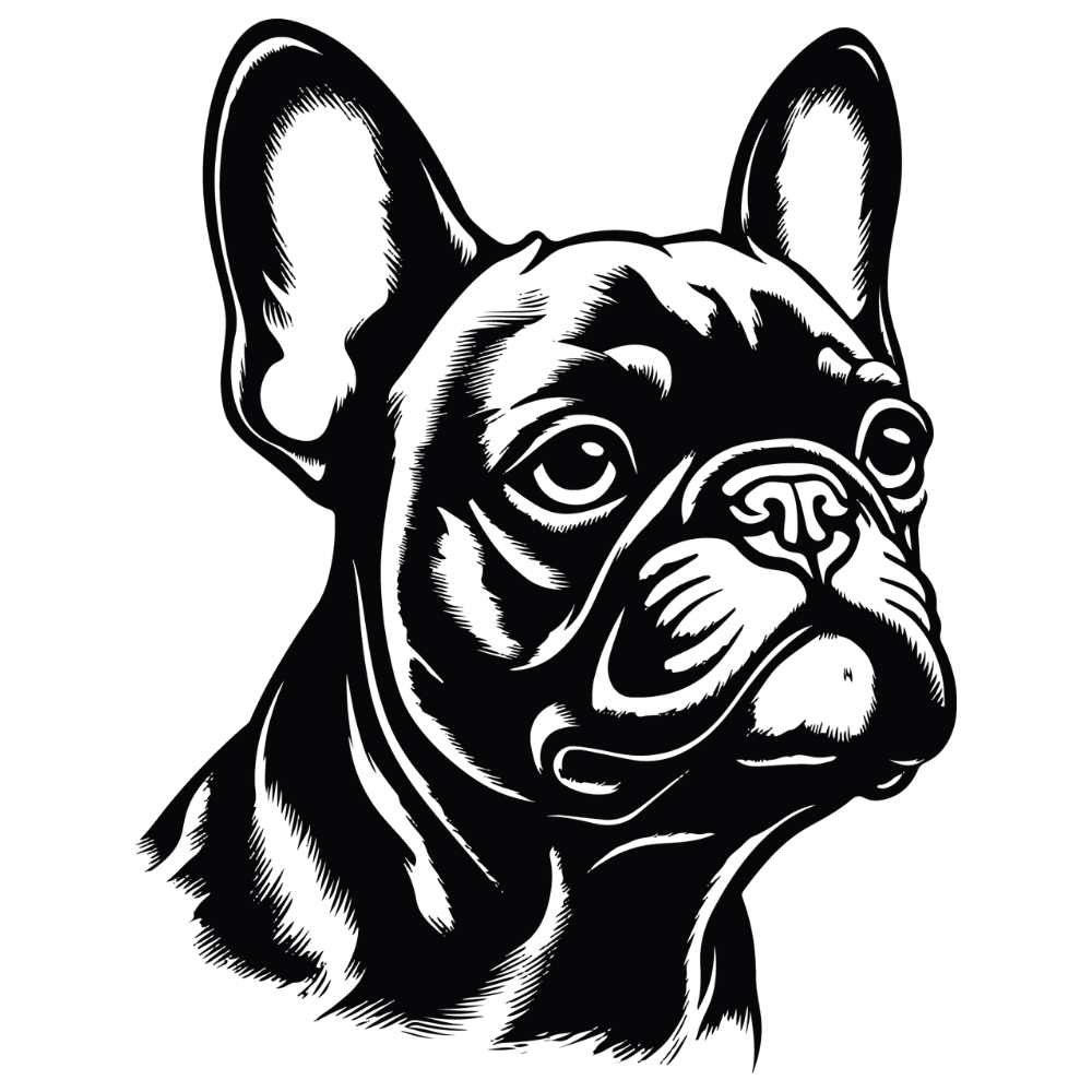 Französische Bulldogge Autoaufkleber #342
