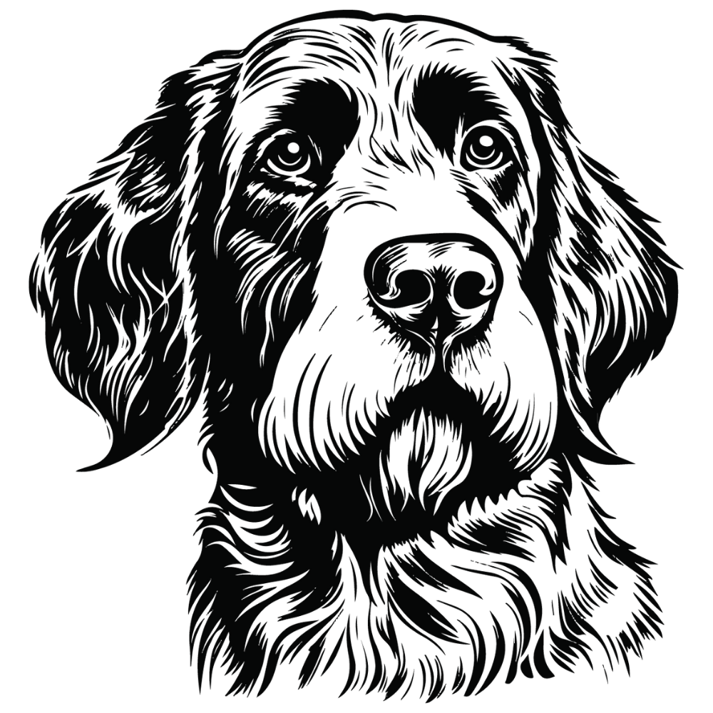 Deutsch Drahthaar Autoaufkleber #2