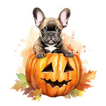 Französische Bulldogge Bügelbild Halloween #15