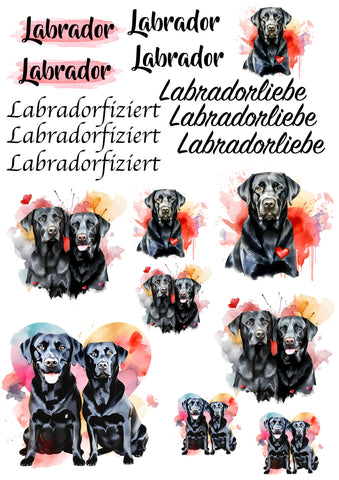 Labrador Wasserschiebefolie / Kerzentattoos