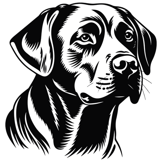 Labrador Autoaufkleber #4