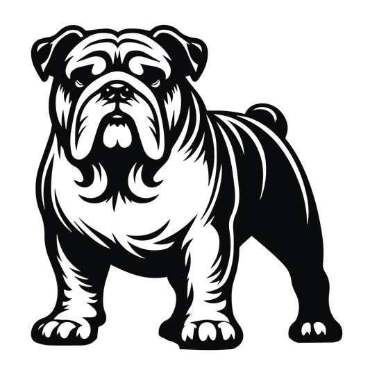 Englische Bulldogge Autoaufkleber #91