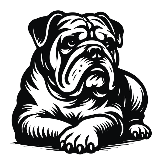 Englische Bulldogge Autoaufkleber #93