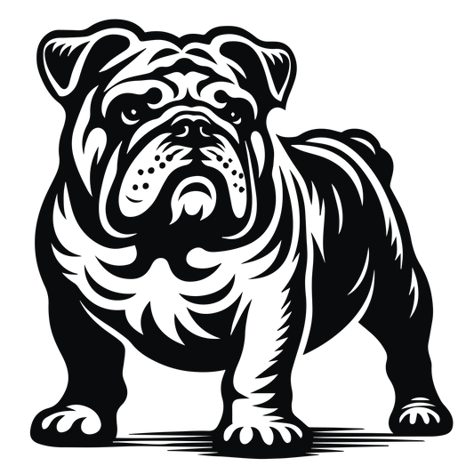 Englische Bulldogge Autoaufkleber #95