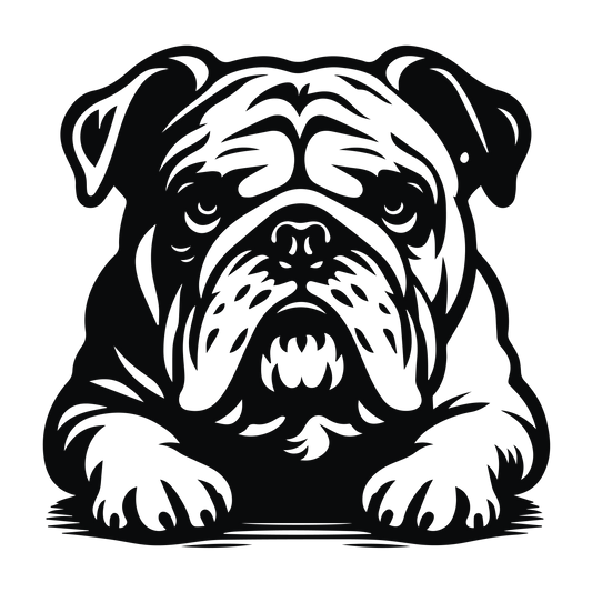 Englische Bulldogge Autoaufkleber #98