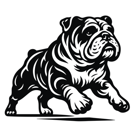 Englische Bulldogge Autoaufkleber #99