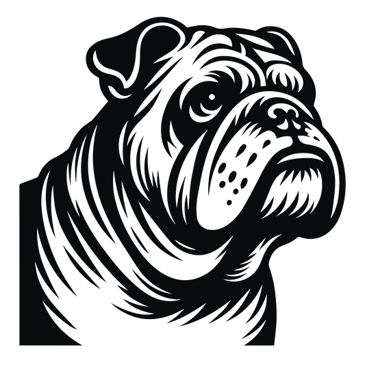 Englische Bulldogge Autoaufkleber #113