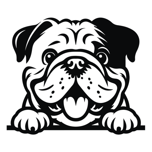 Englische Bulldogge Autoaufkleber #127
