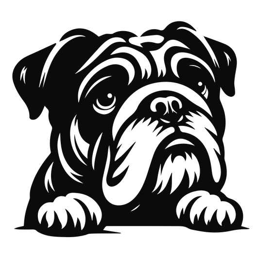 Englische Bulldogge Autoaufkleber #128