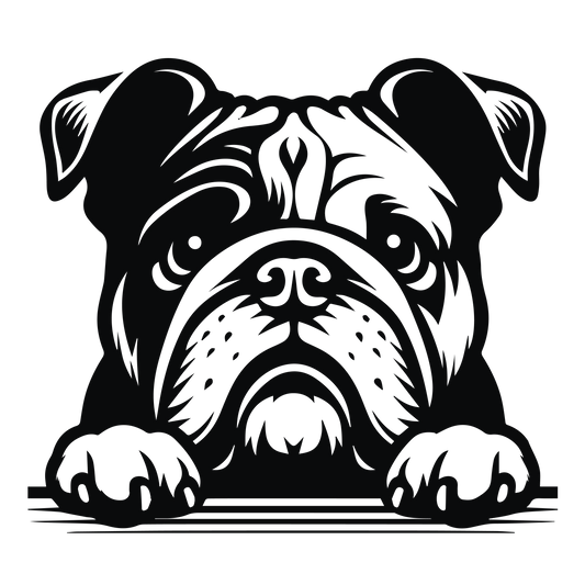 Englische Bulldogge Autoaufkleber #129