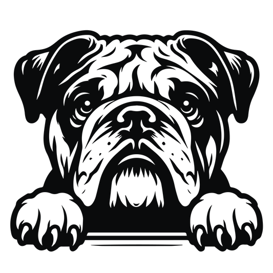 Englische Bulldogge Autoaufkleber #130