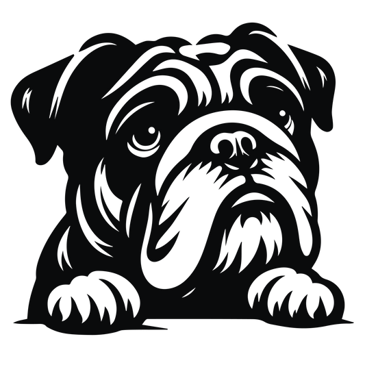 Englische Bulldogge Autoaufkleber #132